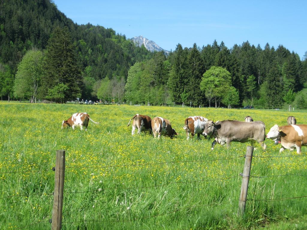 Haus Osterried *