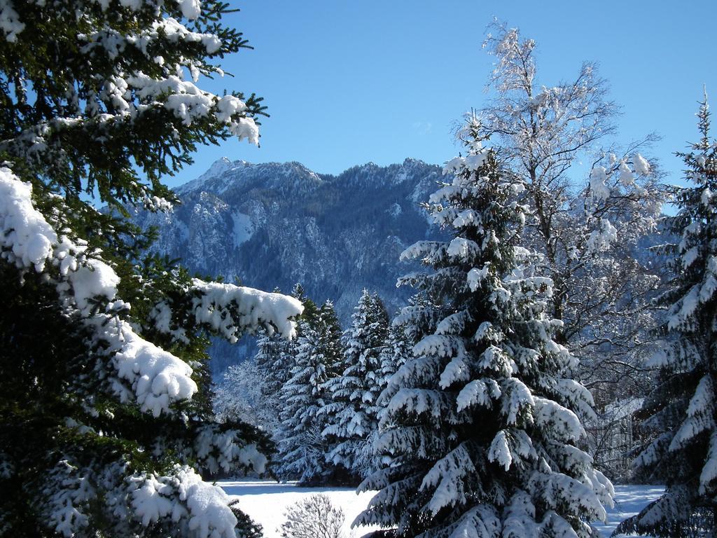 Haus Osterried * Schwangau