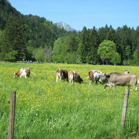 Apartamento Haus Osterried Schwangau Habitación foto