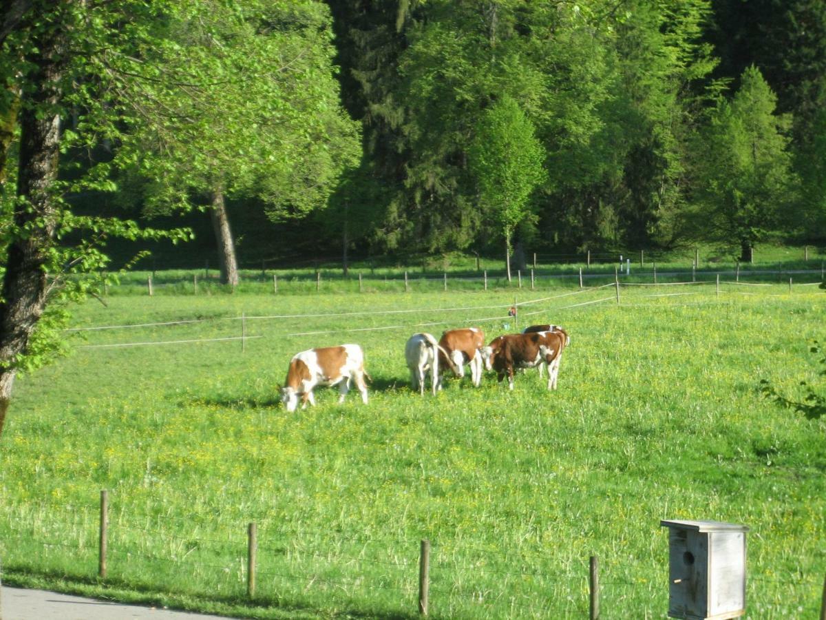 Haus Osterried